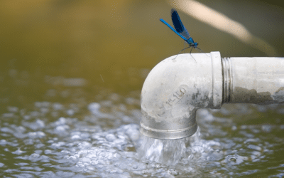 COUPURE D’EAU TEMPORAIRE