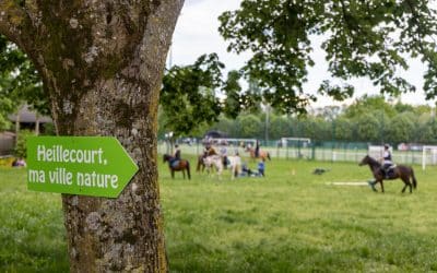 HEILLECOURT MA VILLE NATURE – RETOUR EN IMAGES