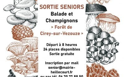 SORTIE SENIORS