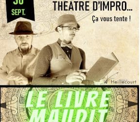 THEATRE D’IMPROVISATION