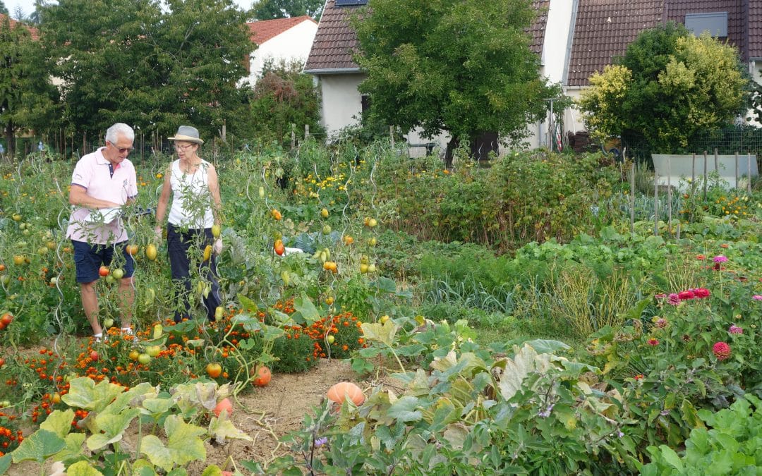 heillecourt-jardins-communaux-biodiversite