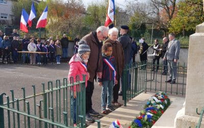 COMMEMORATION DU 11 NOVEMBRE : RETOUR EN IMAGES
