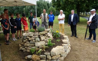 Chantier participatif