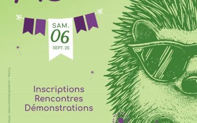 Fête des associations