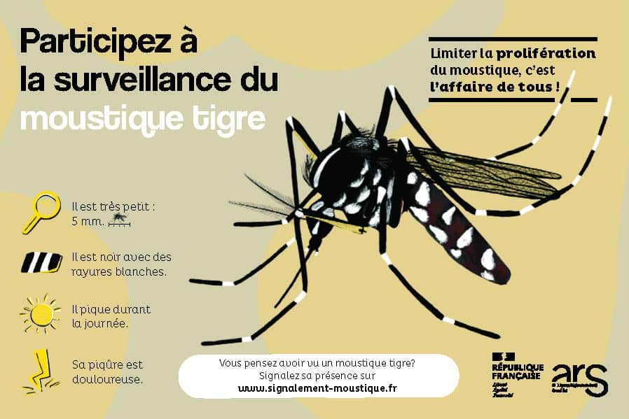 especes-invasives-moustiques