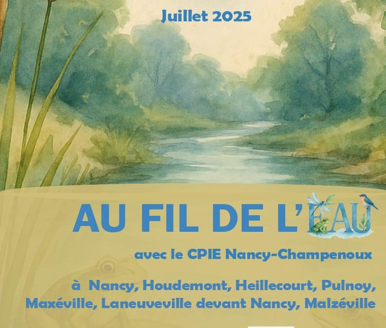 balade-decouverte-eau-heillecourt