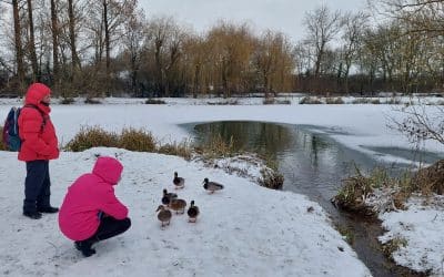 HEILLECOURT SOUS LA NEIGE : RETOUR EN IMAGES