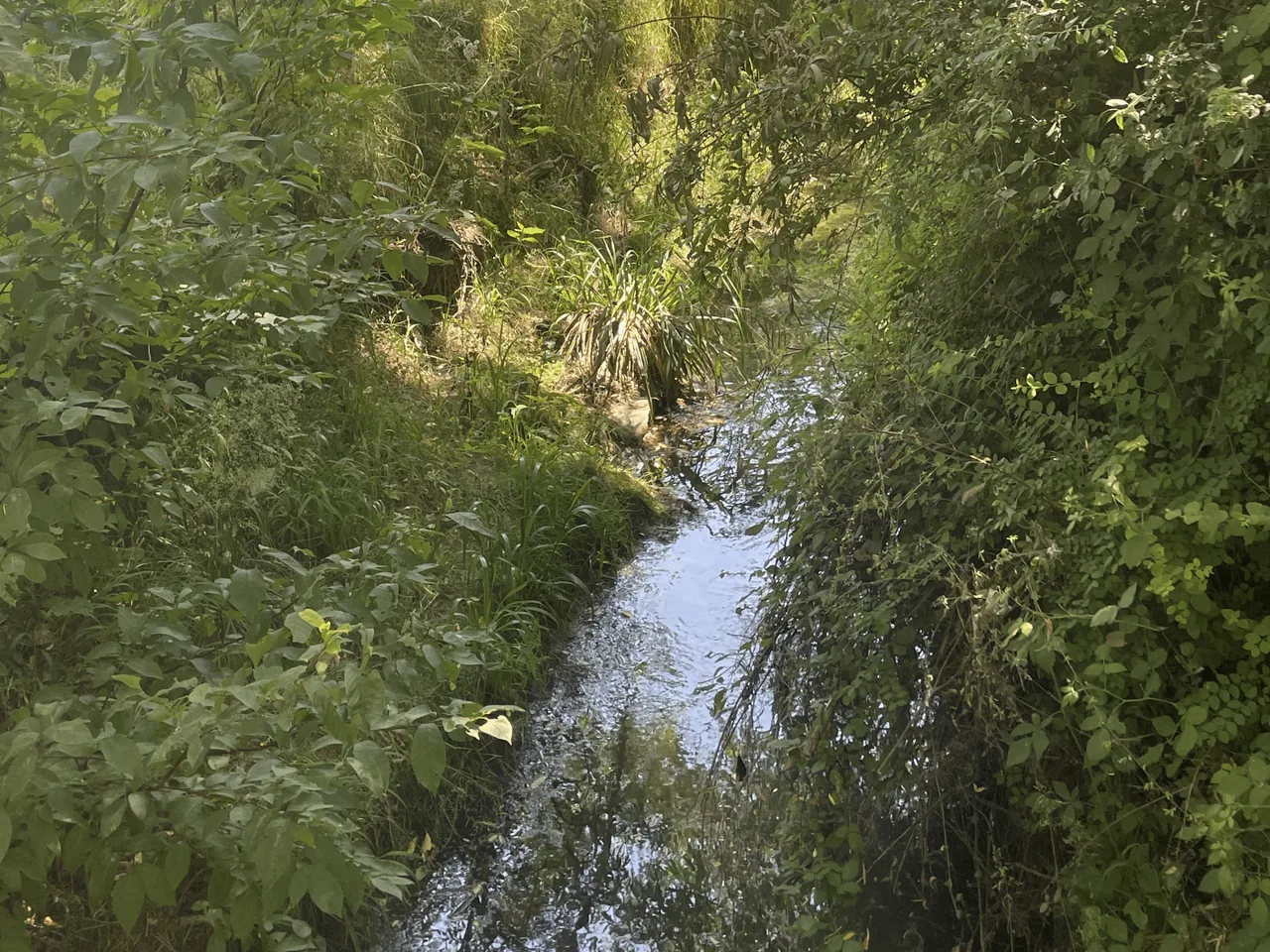 imgi_27_ruisseau