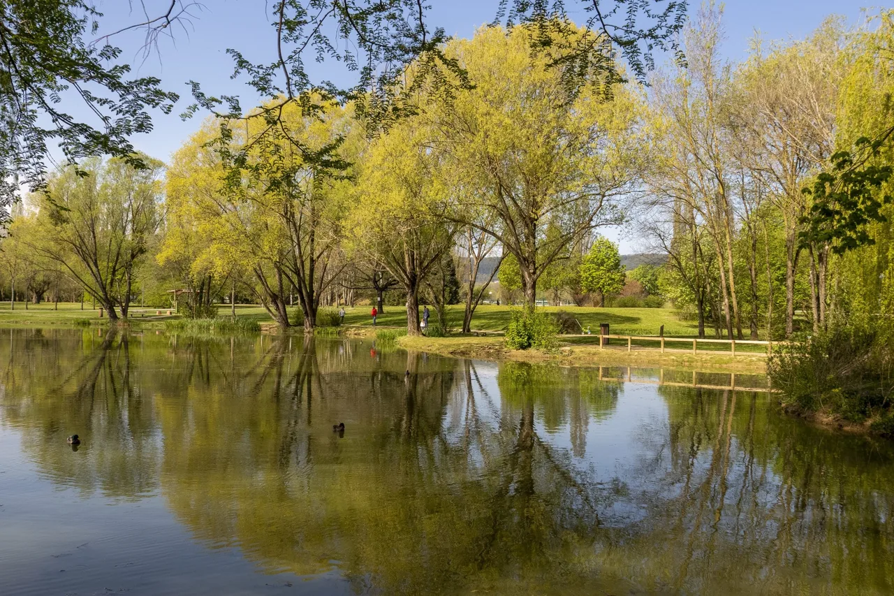 imgi_27_ville-de-heillecourt-etang-embanie-90-scaled